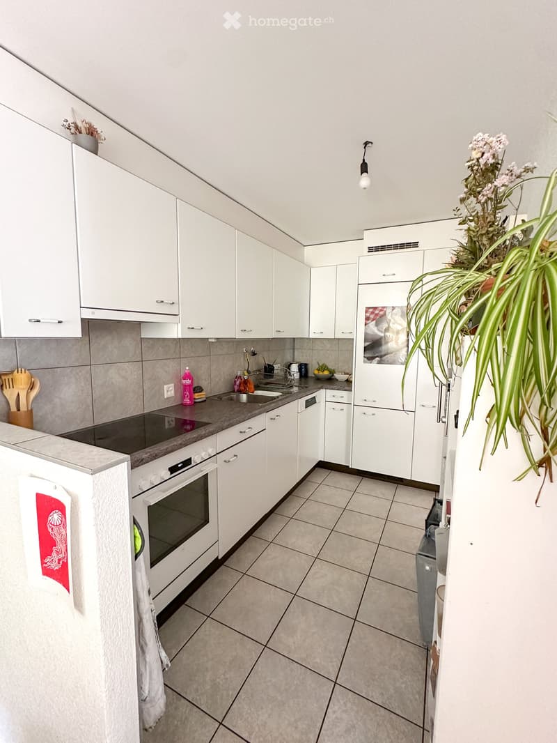 Reprise de bail - Appartement 3.5 pièces. (11)