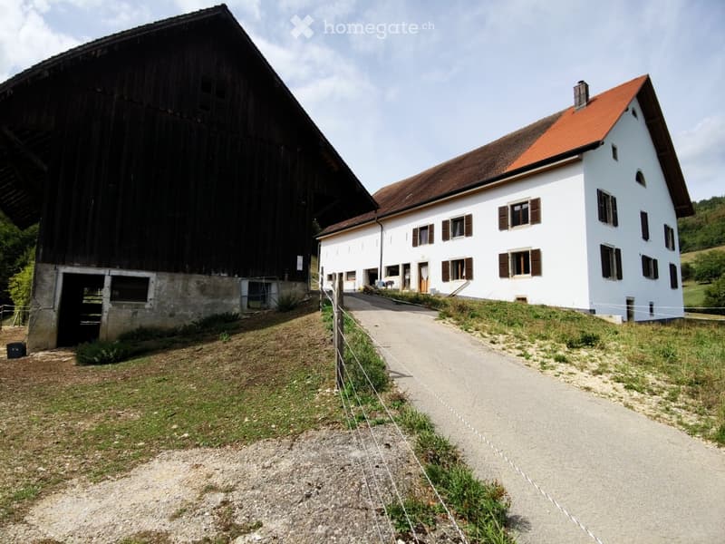 Ancienne ferme en pleine nature / Ehemaliges Bauernhaus (1)