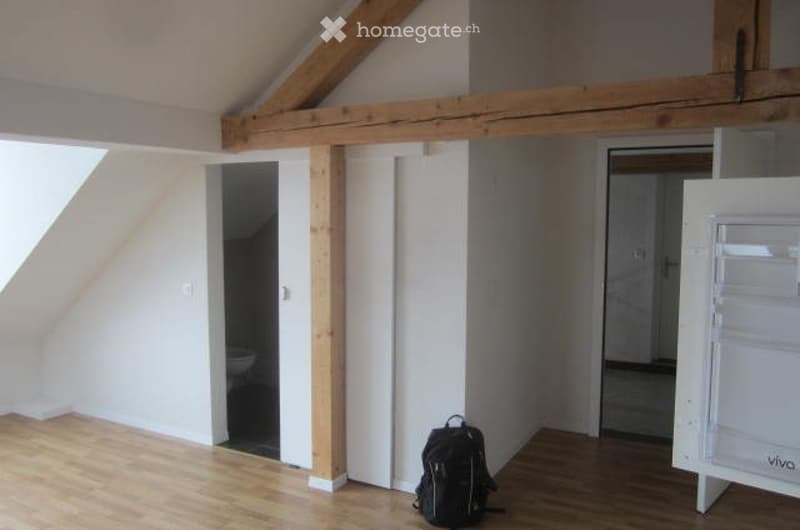 Bel appartement récent dans les combles (4)