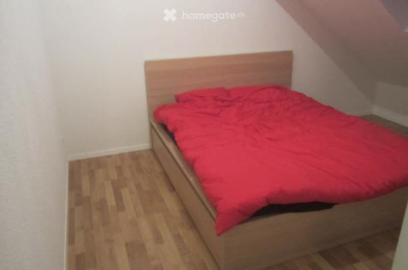 Bel appartement récent dans les combles (3)