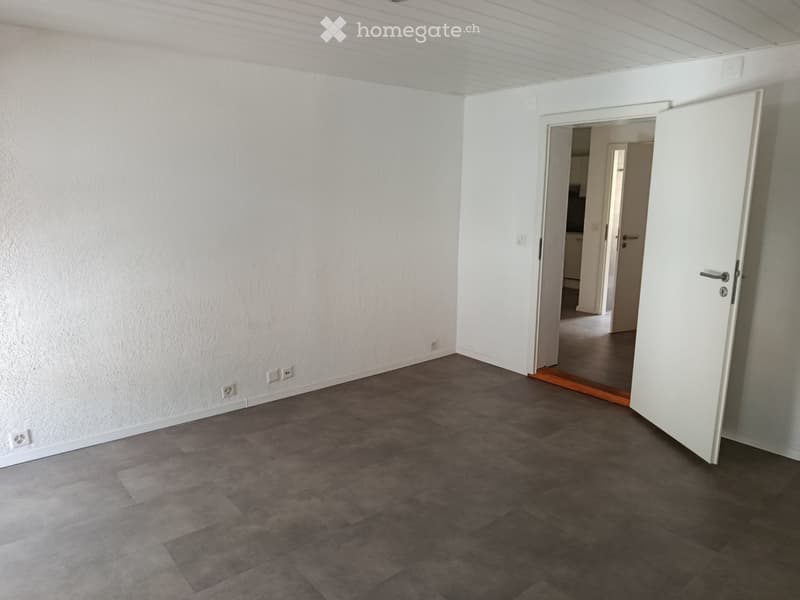 Bel appartement de 2.5 pièces à louer (2)