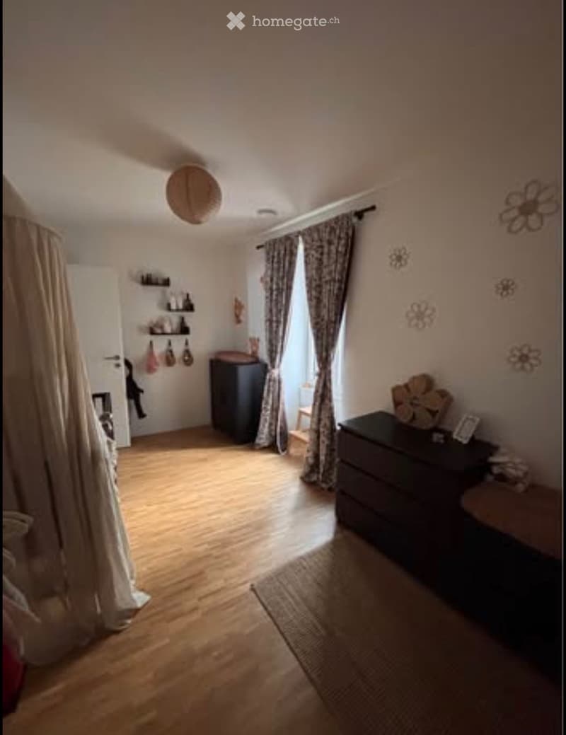 Reprise de bail - 1er Novembre - appartement vue lac ! (3)