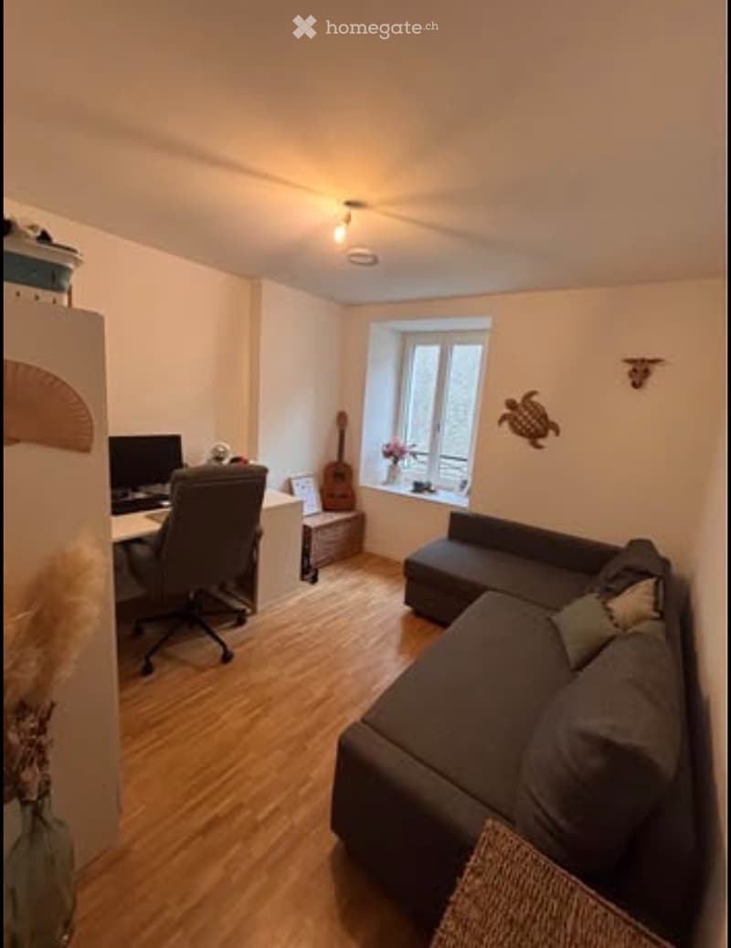 Reprise de bail - 1er Novembre - appartement vue lac ! (4)