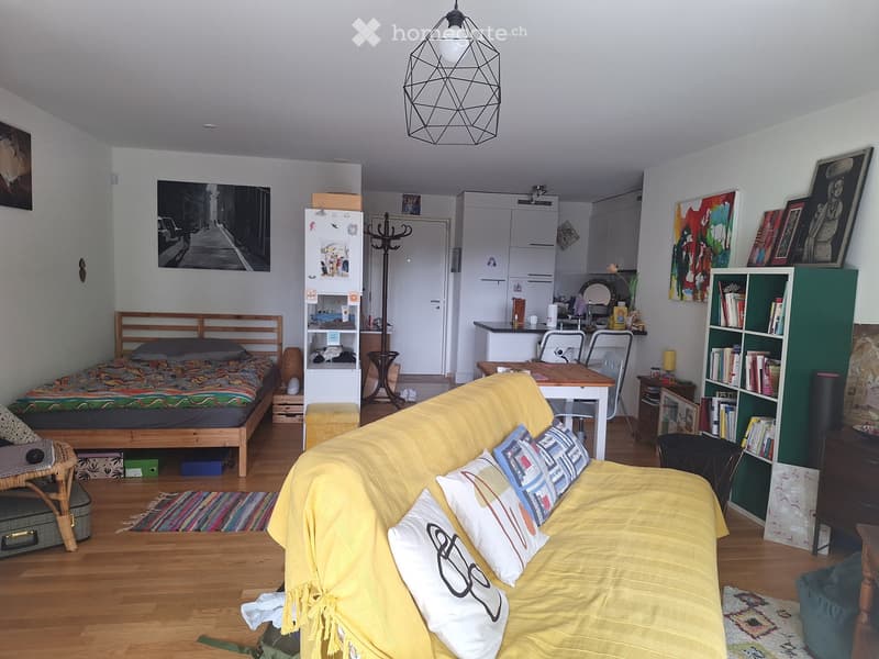 Souslocation, Lausanne Sévelin  1,5 pièce, meublé  41 m² (2)