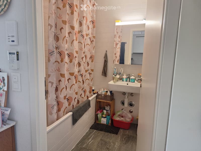 Souslocation, Lausanne Sévelin  1,5 pièce, meublé  41 m² (5)