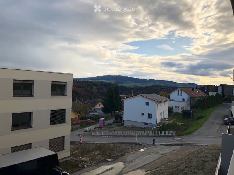 3,5 pcs en plein centre village avec commerces et gare (4)