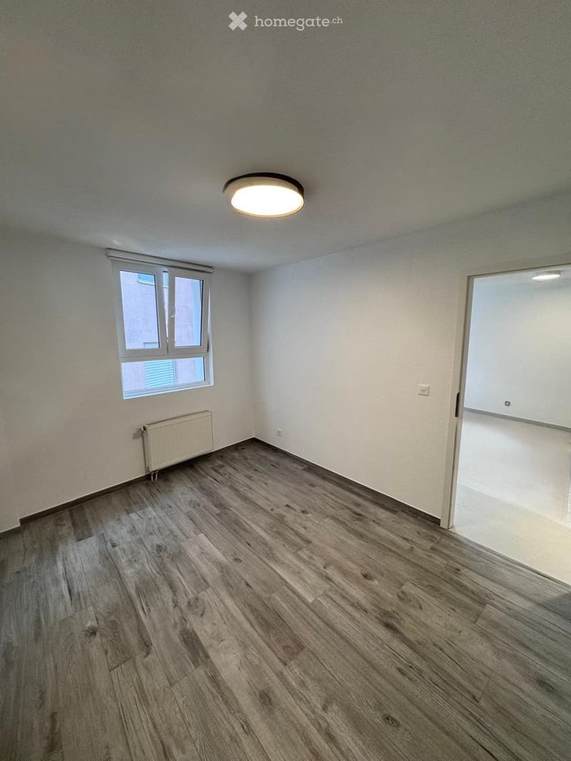 2 PIÈCES ENTIÈREMENT RÉNOVÉ VIEUX BOURG D'AIGLE (2)