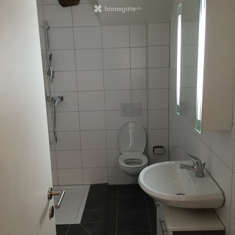 3.5-Zimmer-Wohnung in Balsthal zu vermieten (3)