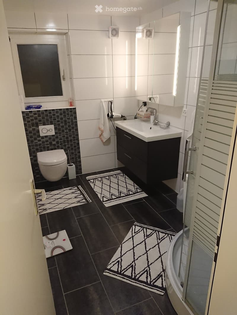 Maison individuelle 5,5 pièces avec jardin (2)