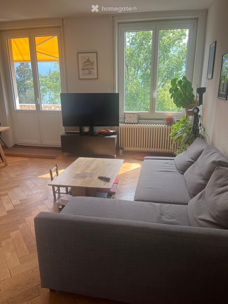 Appartement à louer Reprise de bail 4,5 pièces (2)