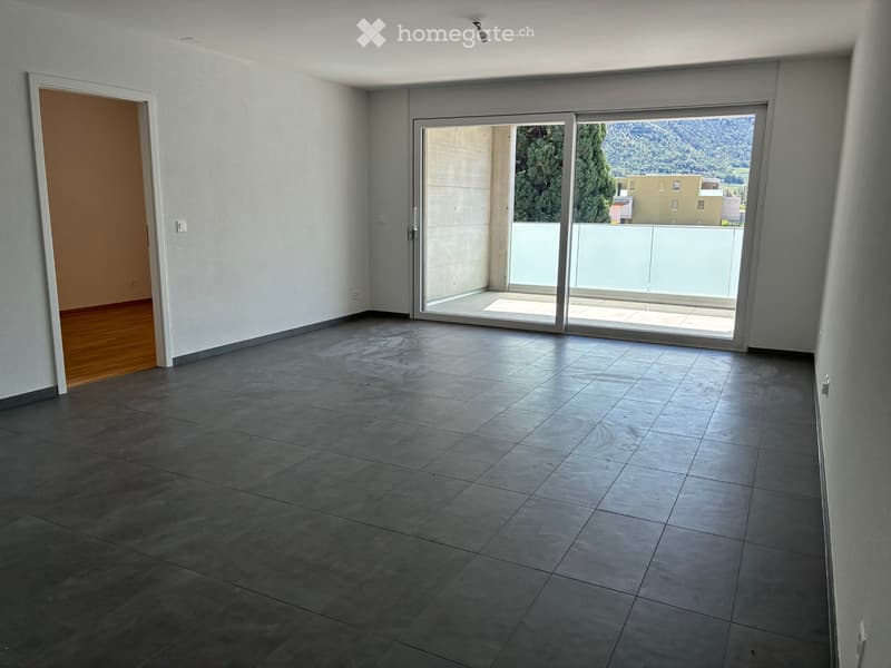 Appartement 2,5 pièces neuf - à louer (3)
