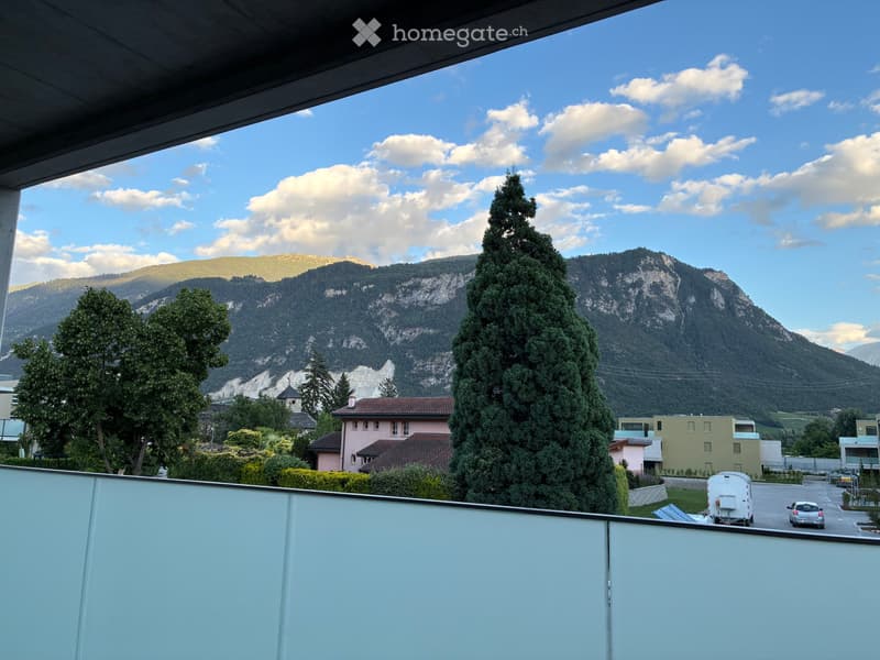 Appartement 2,5 pièces neuf - à louer (1)