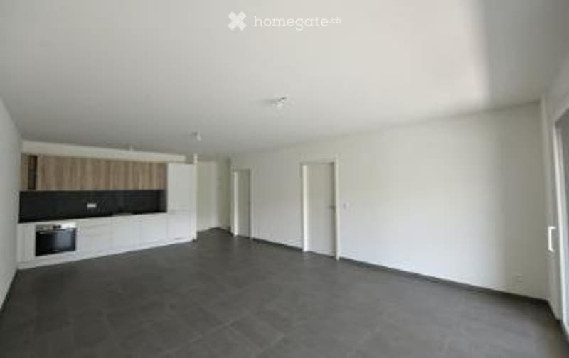 Appartement 2,5 pièces neuf - à louer (4)