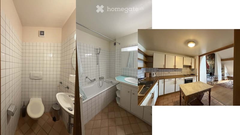 Appartement d'architecte sous combles de 3.5 pièces à Nyon (4)