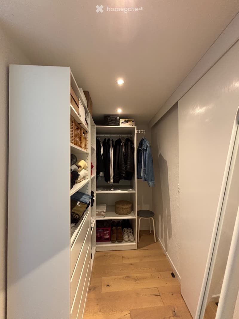 Appartement lumineux entièrement rénové à louer (5)