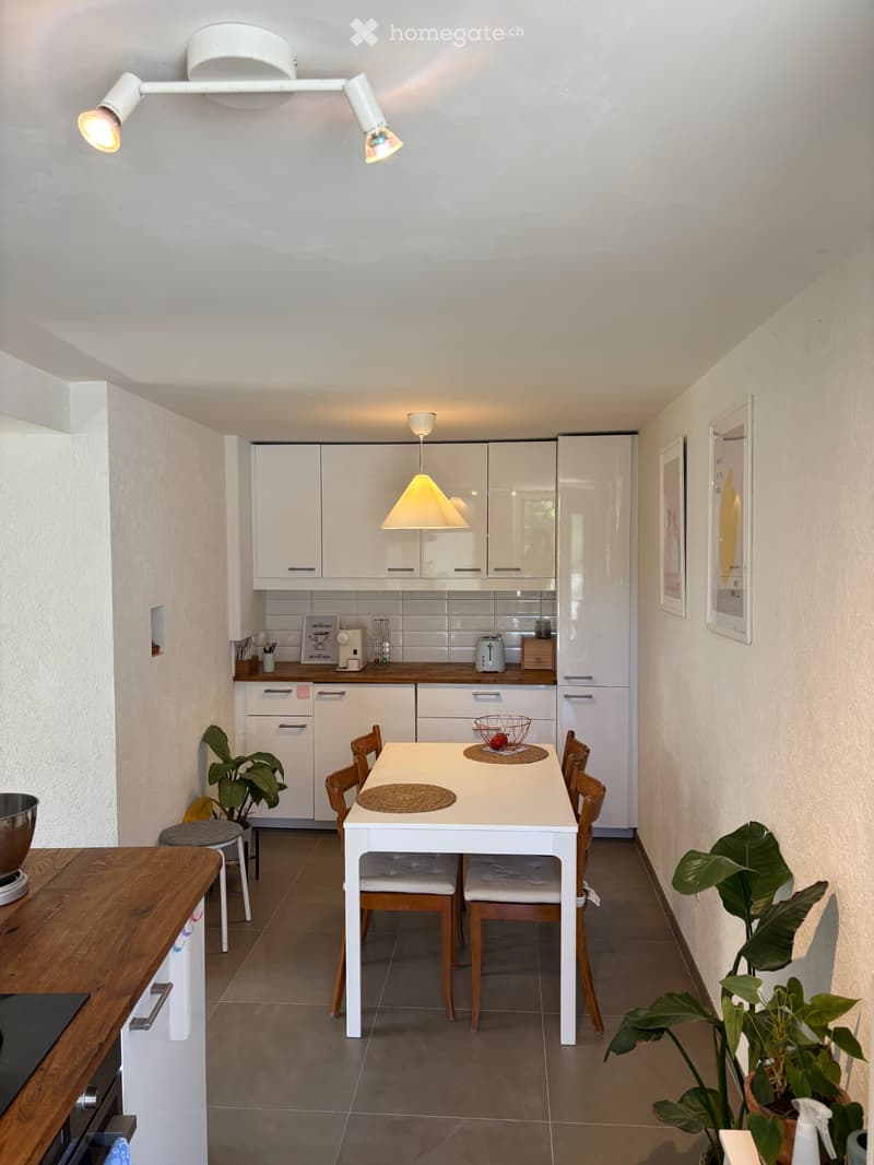 Appartement lumineux entièrement rénové à louer (3)