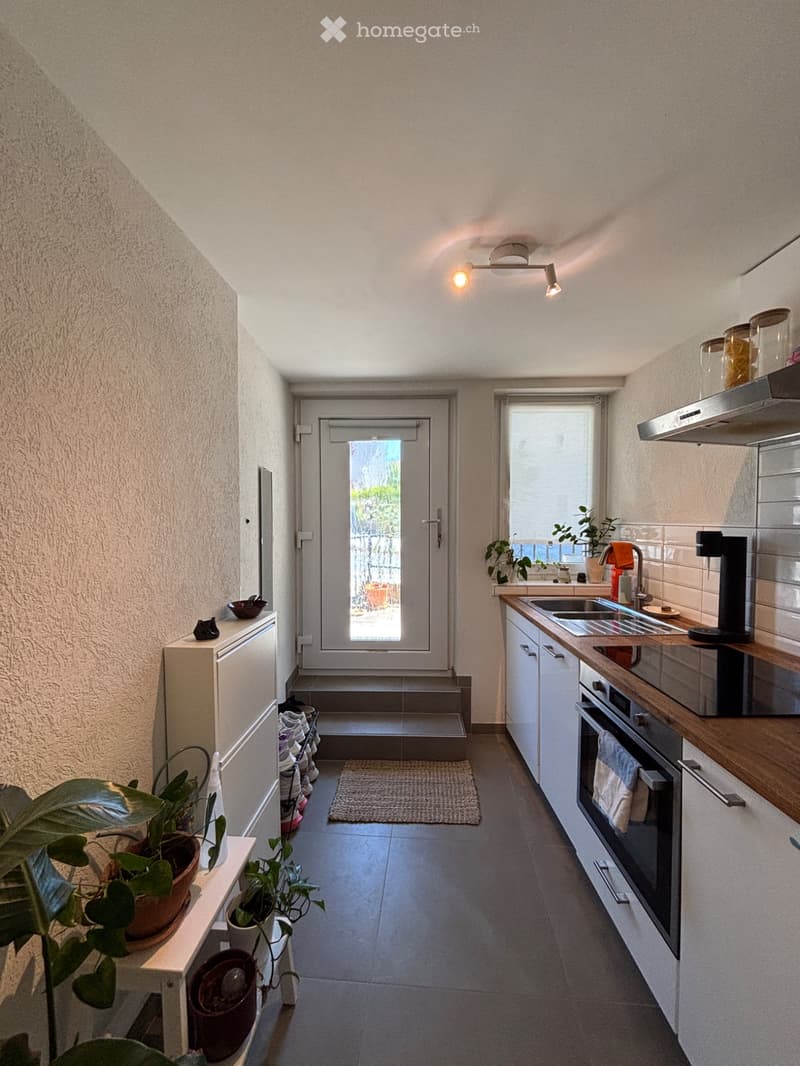 Appartement lumineux entièrement rénové à louer (1)