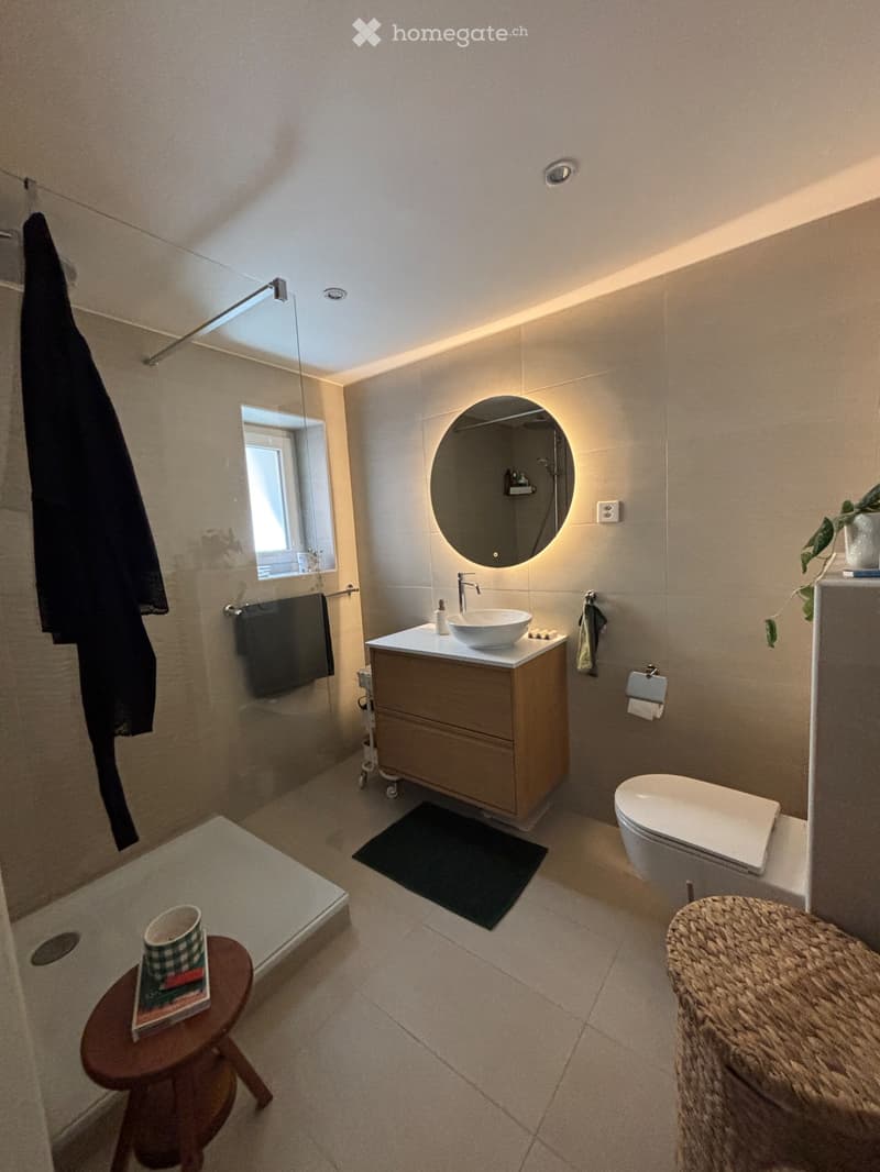 Appartement lumineux entièrement rénové à louer (4)