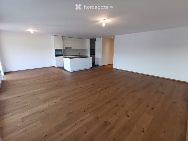 Magnifique appartement 3.5 pièces de 100m2 (3)