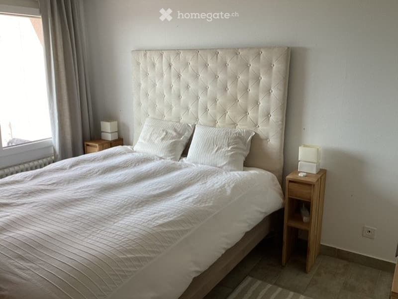 Charmant petit appartement A LOUER libre IMMEDIATEMENT (2)