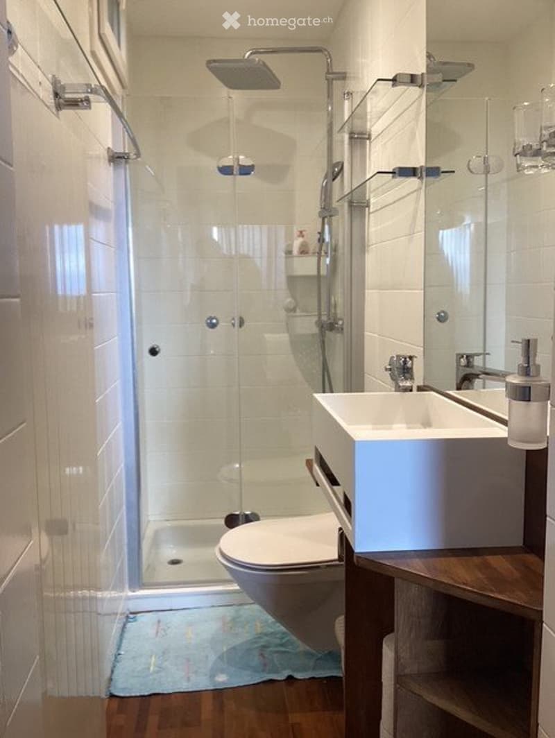 Charmant petit appartement A LOUER libre IMMEDIATEMENT (3)