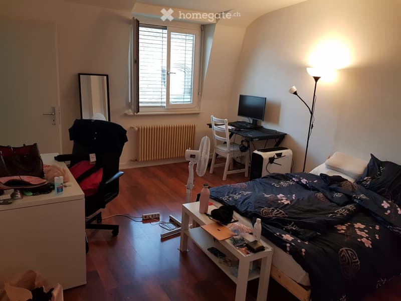 Studio lumineux de 27 m² au centre de Genève (1)