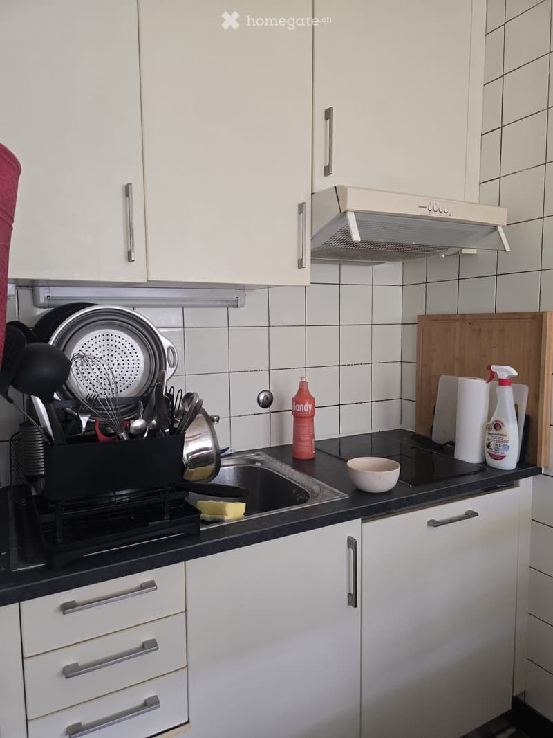 Studio lumineux de 27 m² au centre de Genève (4)