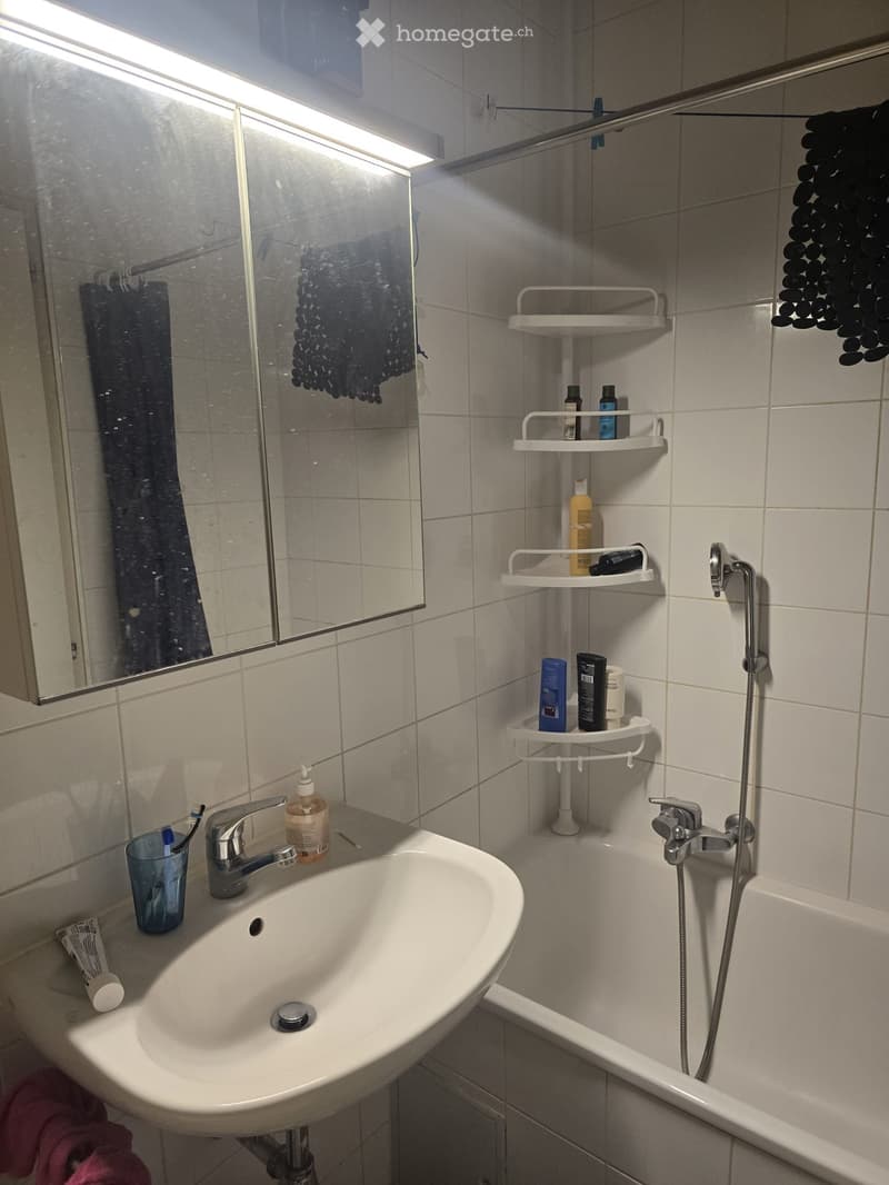 Studio lumineux de 27 m² au centre de Genève (2)