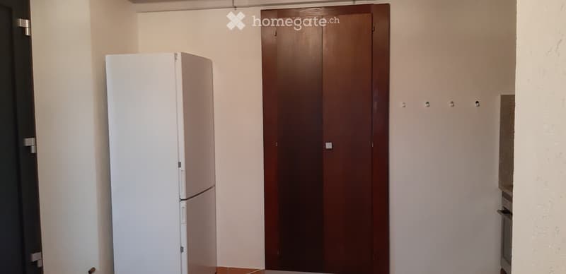A louer joli Studio à Choëx (2)