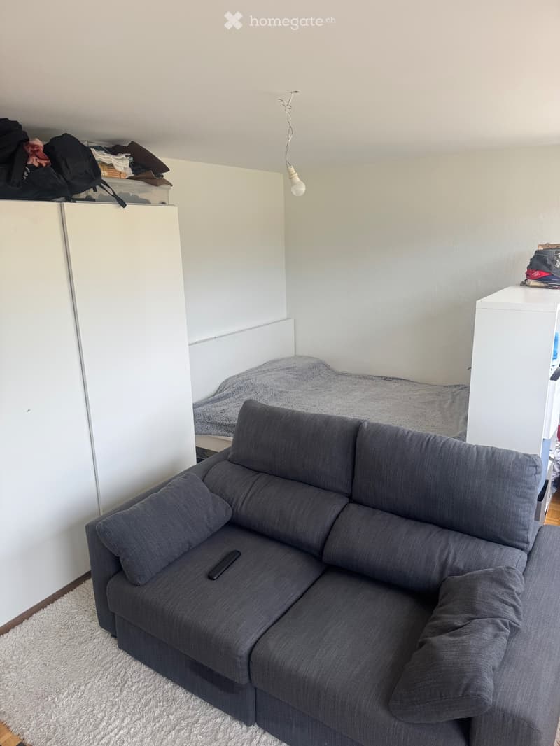 Studio vevey (2)