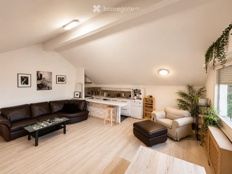 Charmant appartement meublé en attique à Coppet (1)