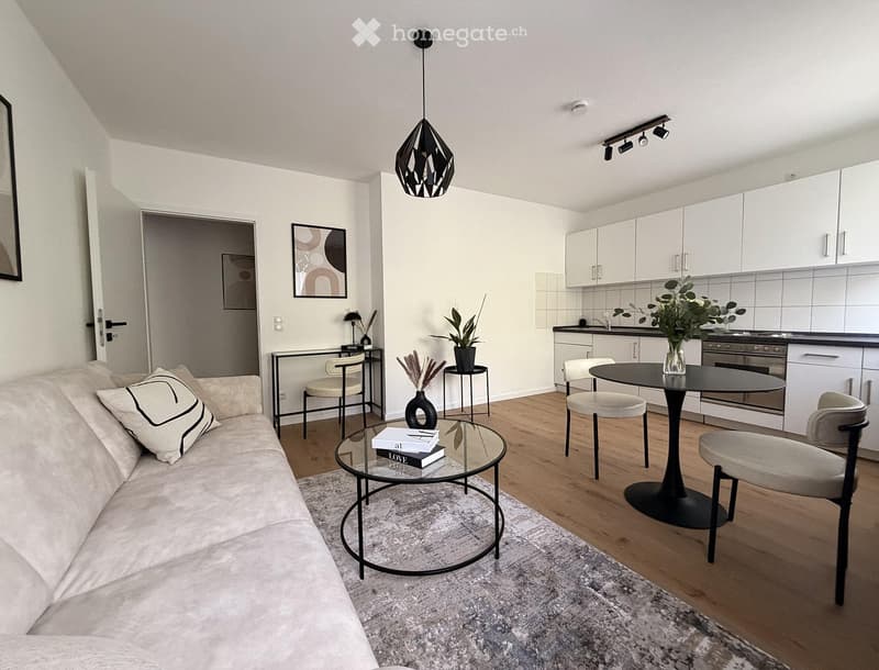 2-Zimmer-Wohnung möblierte (1)