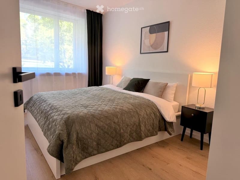 2-Zimmer-Wohnung möblierte (3)