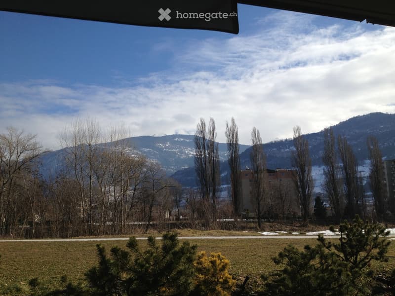 Location 2,5 pièces Sion bord du Rhône (4)