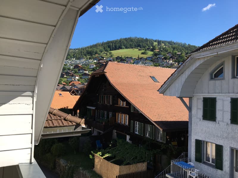 1-Zimmer Studio mit grossem Balkon (1)