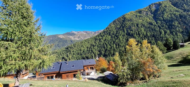 La Tzoumaz - A louer à la saison appartement dans chalet (5)