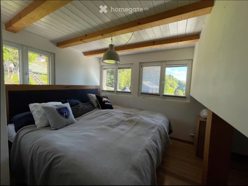 Location à l'année - Chalet au Vallon de Villard avec vue. (4)
