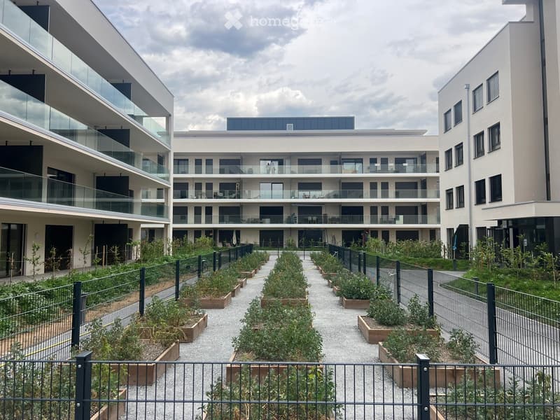 Appartement 2.5 pièces à Sion (Champsec) (5)