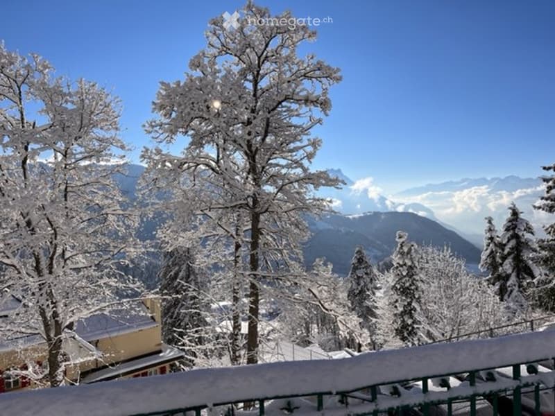 Location appartement sur Leysin (3)