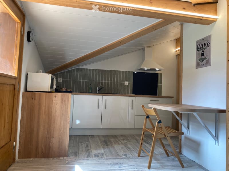 Petit chalet meublé rénové grande terrasse + grand garage (3)