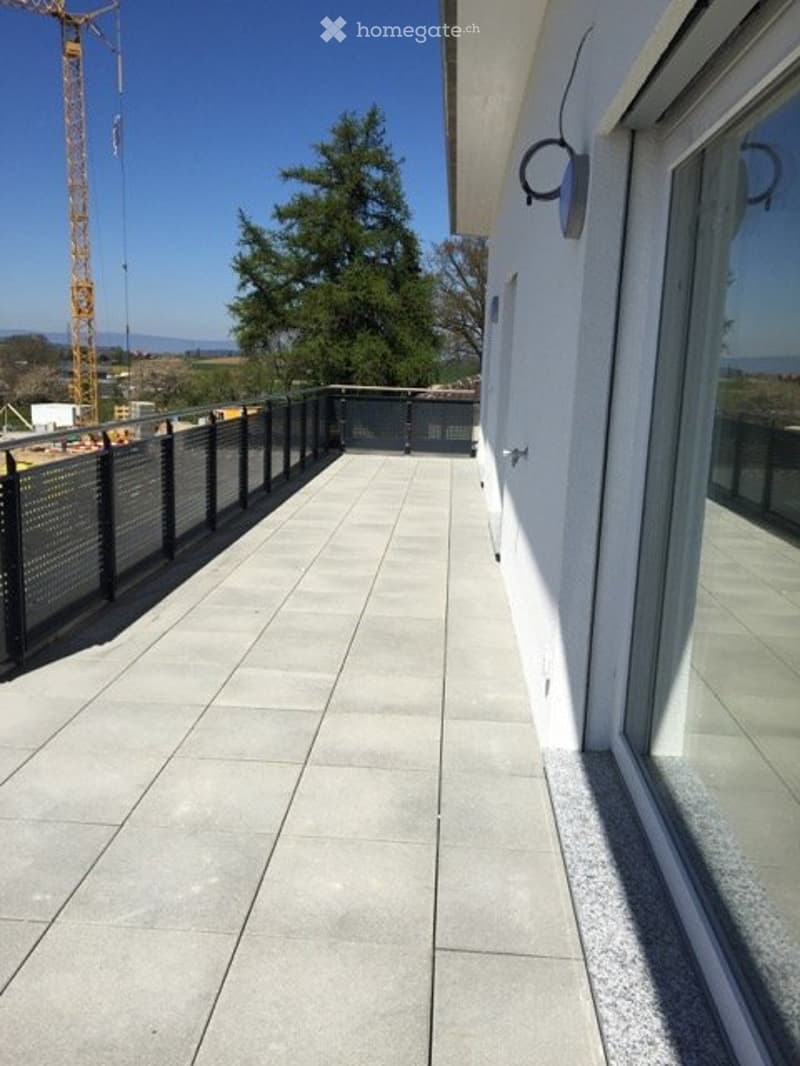 4.5-Zi-Attikawohnung mit Garten und Terrasse / 078 719 49 85 (4)