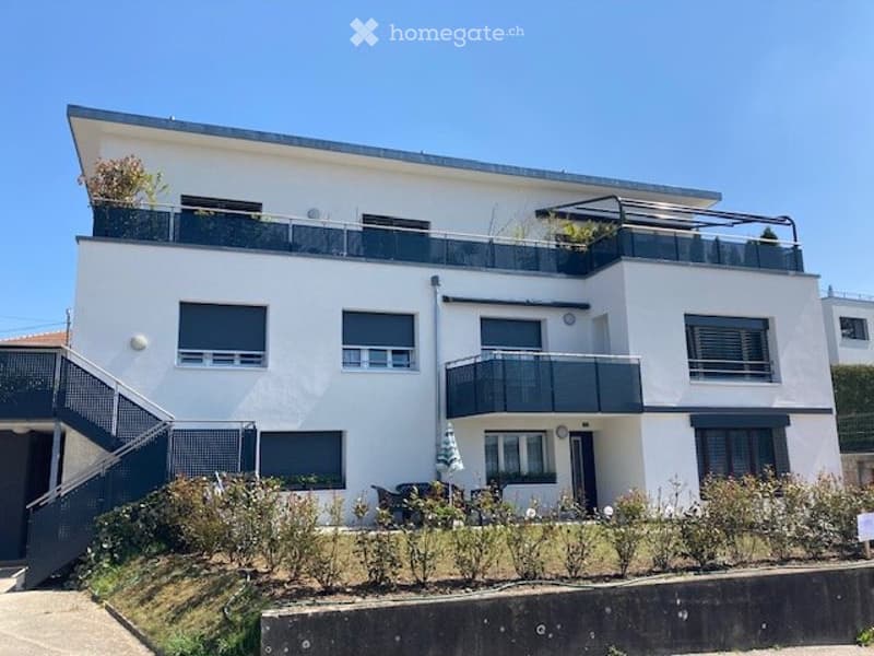 4.5-Zi-Attikawohnung mit Garten und Terrasse / 078 719 49 85 (1)