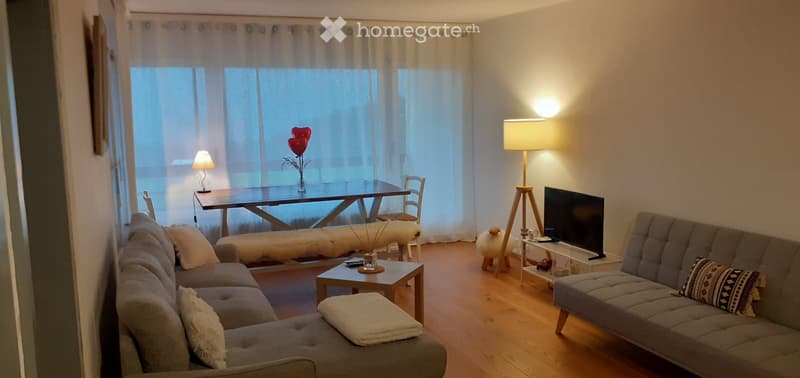 Magnifique appartement de 2.5 pièces (location à l'année). (5)