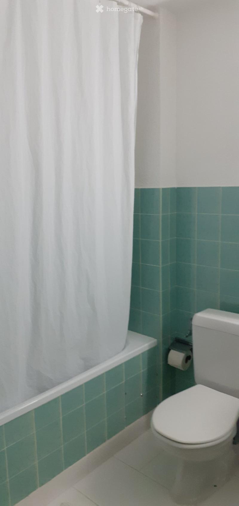 Magnifique appartement de 2.5 pièces (location à l'année). (4)