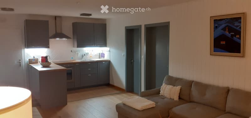 Magnifique appartement de 2.5 pièces (location à l'année). (3)