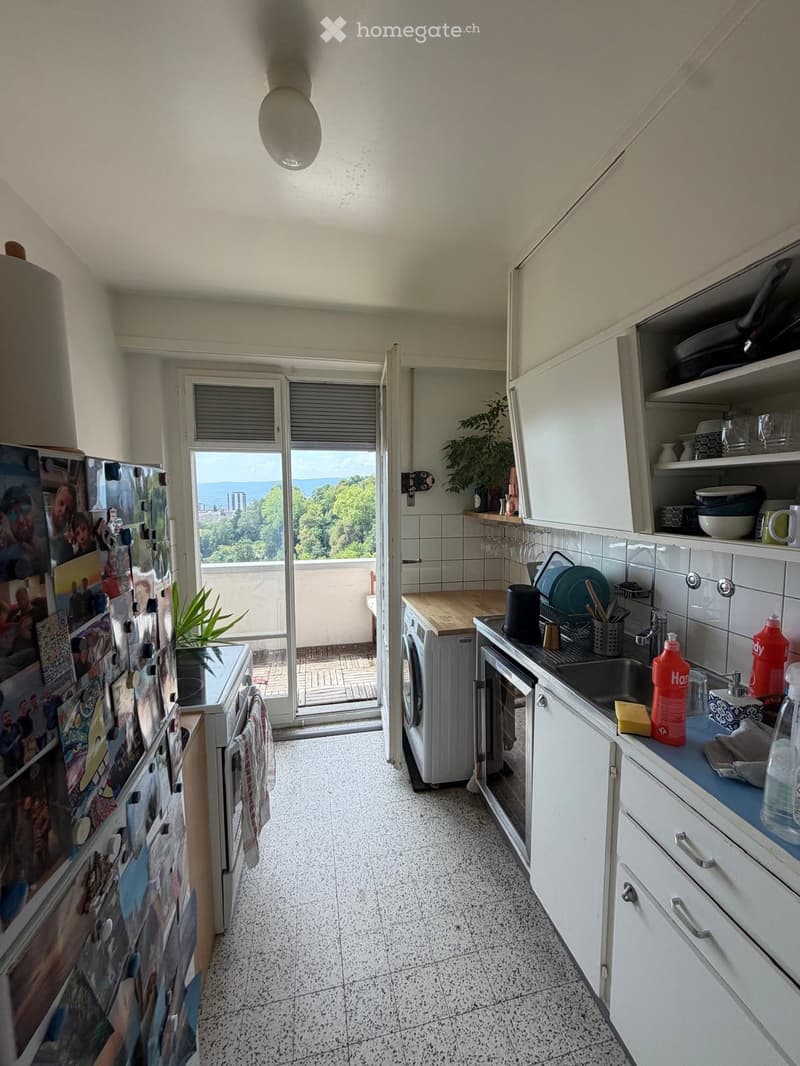 Appartement 2.5 pièces avec vu imprenable sur le lac (4)