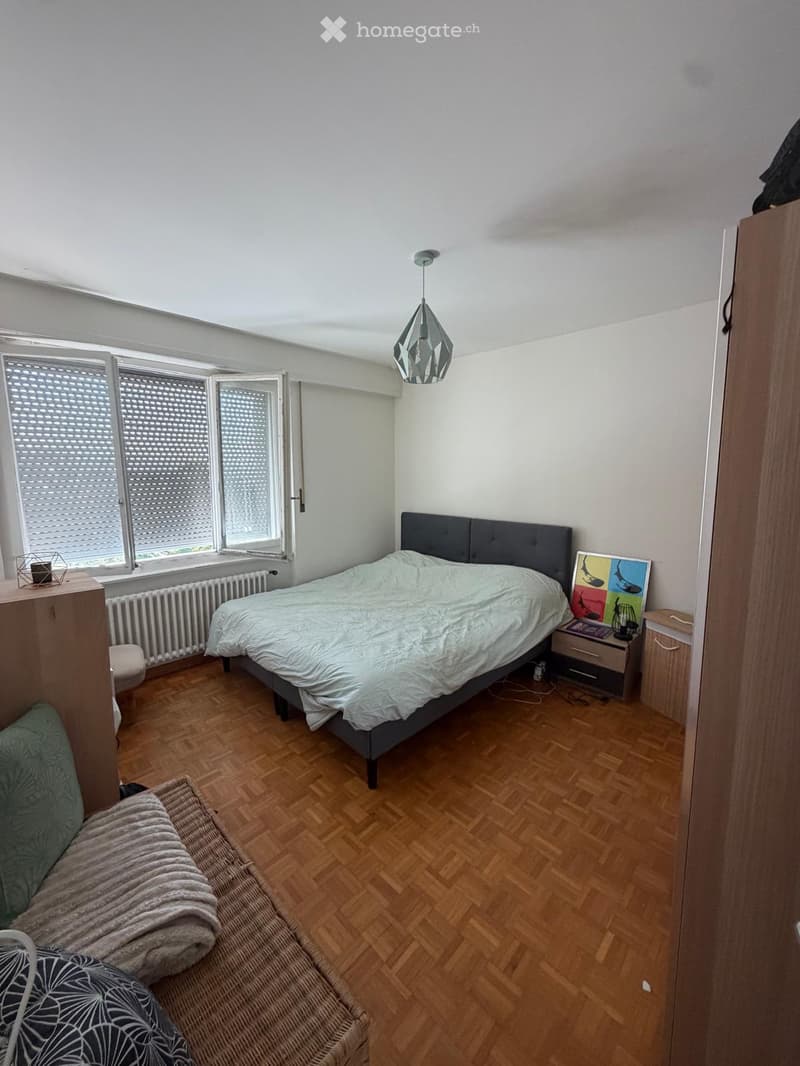Appartement 2.5 pièces avec vu imprenable sur le lac (5)