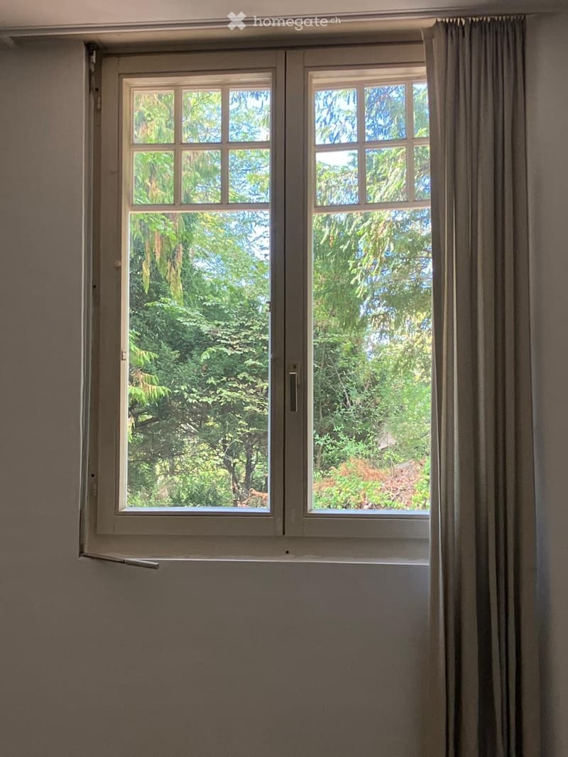Charmantes Studio in Montreux sofort verfügbar (2)
