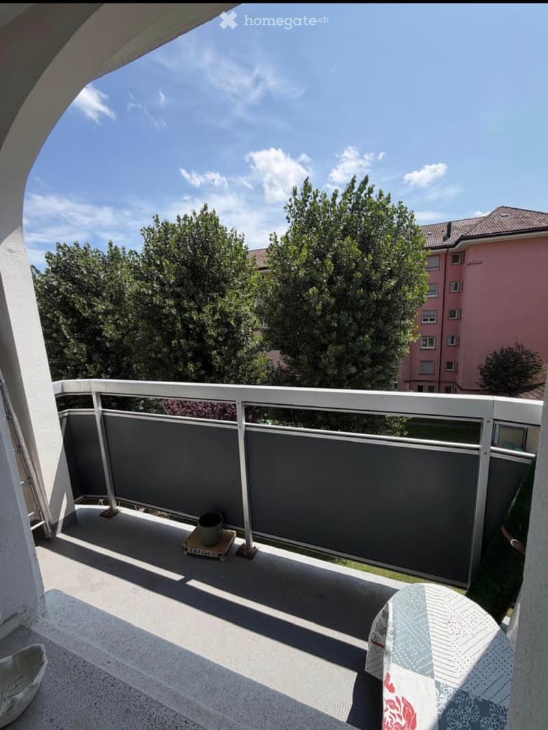 Bel appartement à louer à la chaux de fonds (1)