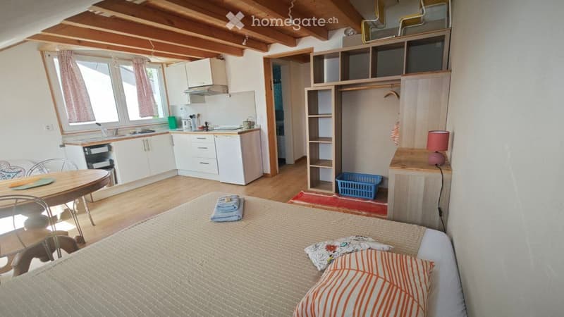 Studio avec mezzanine en coopérative écologique (1)
